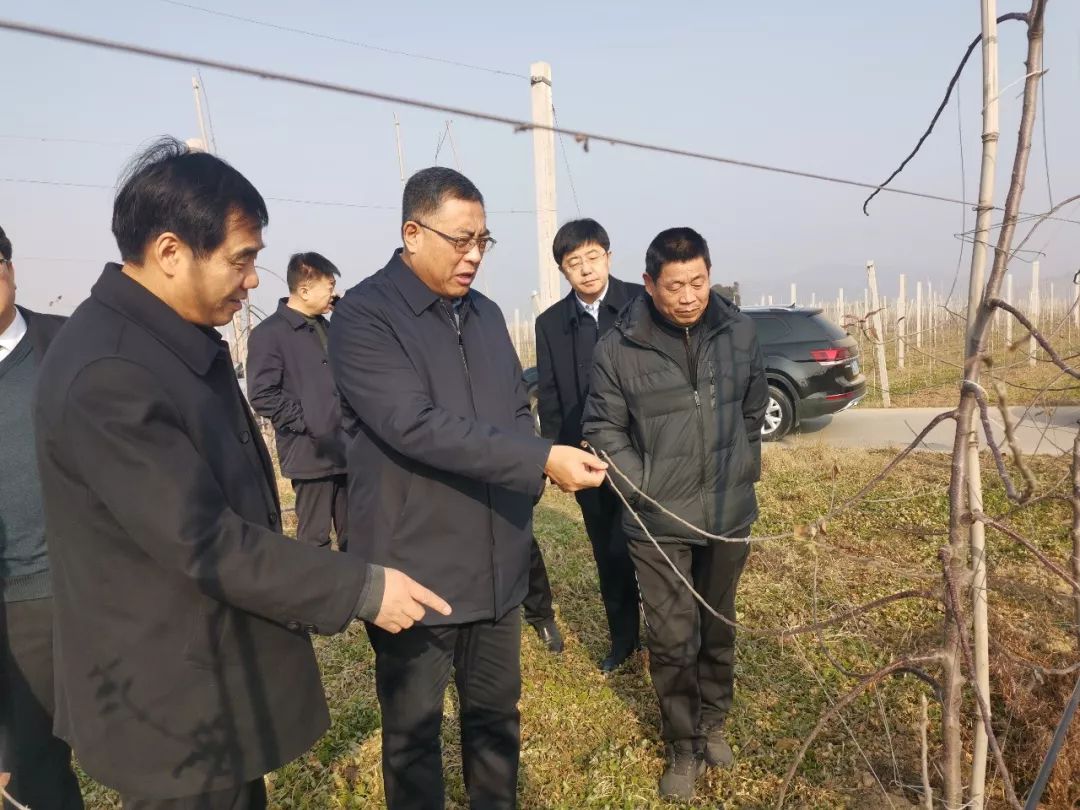 261629940628351254.jpeg 3.jpeg