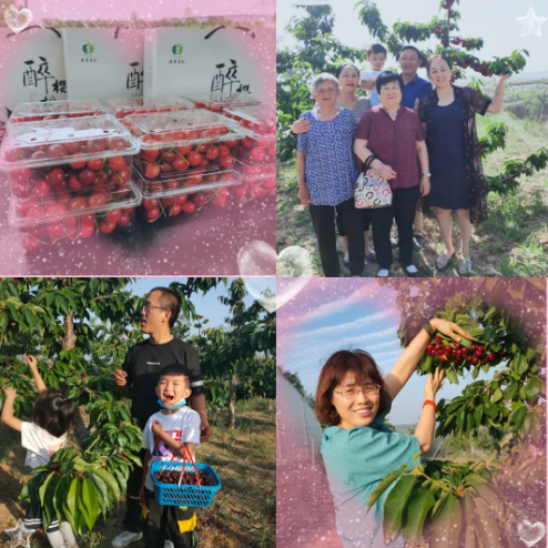 021630551082828469.png 1.png