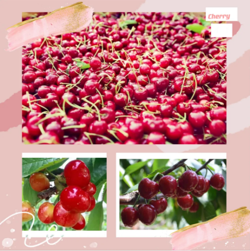 021630551194171677.png 23.png