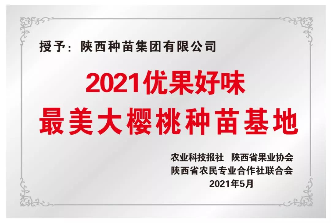 021630551333380449.jpeg 9.jpg