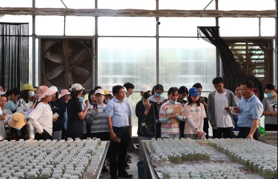 021630554394427279.jpeg 14.jpg